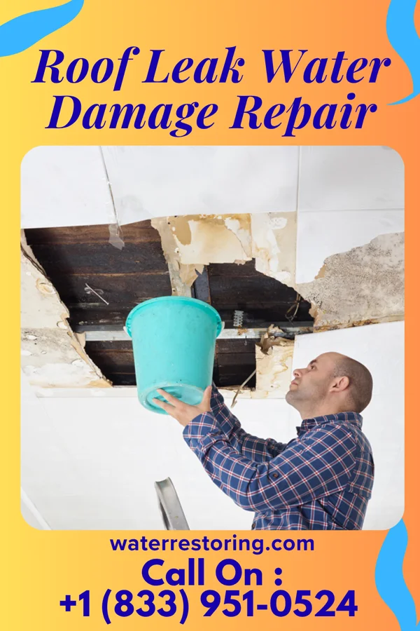 Roof Leak Water Damage Repair in Fort Laramie, WY